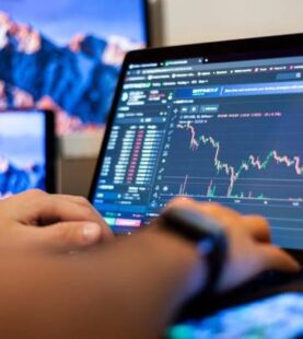 InvestData Mentee Course